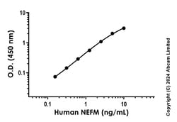 Abcam Human NEFM Antibody Pair - BSA and Azide free, 10 x 96 Tests, Quantity: