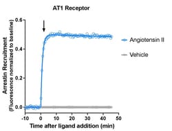 Montana Molecular Borealis Arrestin AT1R Assay - 10mL, Quantity: Each of