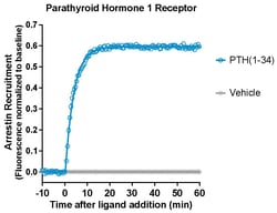 Montana Molecular&nbsp;Borealis Arrestin PTH1R Assay - 10mL