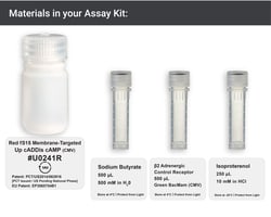 Montana Molecular Red fS15-targeted cADDis cAMP Assay - 10mL, Quantity: