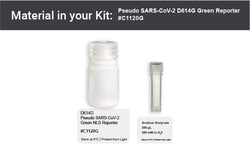 Montana Molecular Pseudo SARS-CoV-2 D614G Green Reporter - 5mL