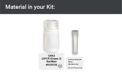 GPCR Kinase 3 Expression Kit - BacMam, 10mL - Montana Molecular