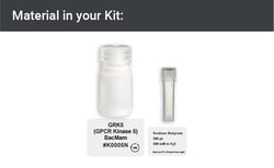 GPCR Kinase 5 Expression Kit - BacMam, 10mL - Montana Molecular