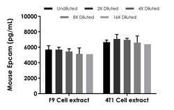 Abcam pE Anti-IL-13 receptor alpha 1 antibody 038, Quantity: Each of 1