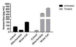 Abcam Anti-GSTA5 antibody, Quantity: Each of 1