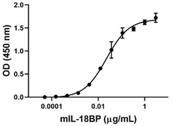 Biolegend Recombinant Mouse IL-18BP-Fc Chimera carrier-free, Quantity: