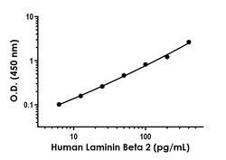 Abcam Human Laminin Beta 2 ELISA Kit, 1 x 96 Tests, Quantity: Each of 1