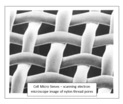 Biodesign Inc of Ny&nbsp;Sieve Holder, two piece plastic with meteal tightener, set of all 5 sizes