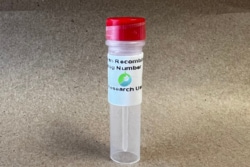 Bon Opus Biosciences Recombinant Human ERVK-7 Protein(C-His) - Source: