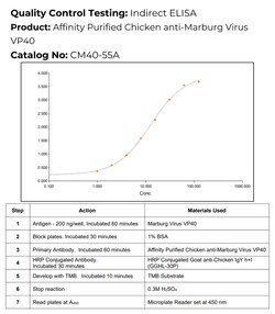 Immunology Consultants Affinity Purified Chicken anti-Marburg Virus VP40,
