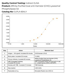 Immunology Consultants Affinity Purified Goat anti-Hamster (CHO) Lysosomal