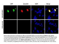 Immunology Consultants Monoclonal Mouse anti-C-MYC Antibody Clone#4E10,