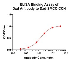 HUABIO RESEARCH INC Anti-DXD Antibody [PSH0-73], Quantity: Each of 1