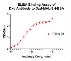 HUABIO RESEARCH INC Anti-Dxd Antibody [PSH0-36], Quantity: Each of 1