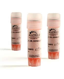 AllCells LLC Peripheral Blood- Cryopreserved- CD19+ B Cells- Positively