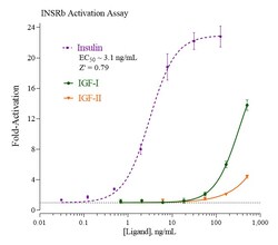 Indigo Biosciences&nbsp;Human Insulin Receptor isoform B (INSRb) All-inclusive Cell-Based Luciferase Reporter Assay Kit, 96-well assay plate format