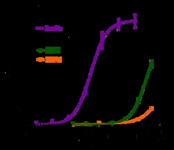 Indigo Biosciences Human Insulin Receptor isoform B (INSRb) All-inclusive