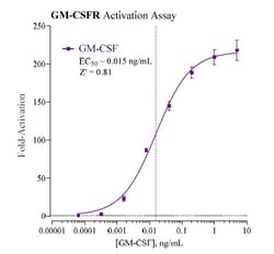 Indigo Biosciences&nbsp;Human Granulocyte-Macrophage Colony-Stimulating Factor Receptor (GM-CSFR, CSF2R) All-inclusive Cell-Based Luciferase Reporter Assay Kit, 384-well assay plate format