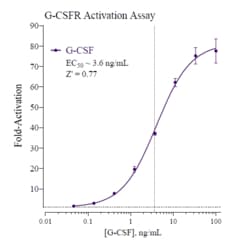 Indigo Biosciences&nbsp;Human Granulocyte Colony-Stimulating Factor Receptor (G-CSFR) All-inclusive Cell-Based Luciferase Reporter Assay Kit, 96-well assay plate format