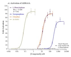 Indigo Biosciences&nbsp;Human Adrenoceptor Alpha 1A (ADRA1A) All-inclusive Cell-Based Luciferase Reporter Assay Kit, 384-well assay plate format