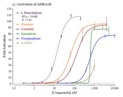 Indigo Biosciences&nbsp;Human Adrenoceptor Alpha 1B (ADRA1B) All-inclusive Cell-Based Luciferase Reporter Assay Kit, 384-well assay plate format