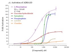 Indigo Biosciences&nbsp;Human Adrenoceptor Alpha 1D (ADRA1D) All-inclusive Cell-Based Luciferase Reporter Assay Kit, 384-well assay plate format