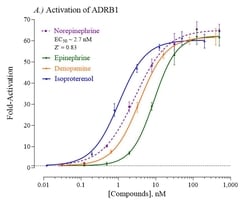 Indigo Biosciences Human Adrenoceptor Beta 1 (ADRB1) All-inclusive Cell-Based