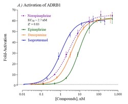 Indigo Biosciences&nbsp;Human Adrenoceptor Beta 1 (ADRB1) All-inclusive Cell-Based Luciferase Reporter Assay Kit, 96-well assay plate format
