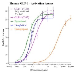 Indigo Biosciences&nbsp;Human Glucagon-Like Peptide-1 Receptor (GLP-1R) All-inclusive Cell-Based Luciferase Reporter Assay Kit, 384-well assay plate format