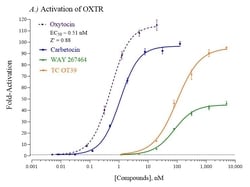 Indigo Biosciences Human Oxytocin Receptor (OXTR) All-inclusive Cell-Based