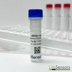 LifeSensors&nbsp;Cereblon/DDB1/Cul4A/Rbx1 Complex 50µg