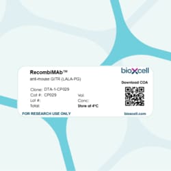 Bio X Cell RecombiMAb Anti-Mouse GITR DTA-1-CP029 Clone, 1 MG, Quantity: