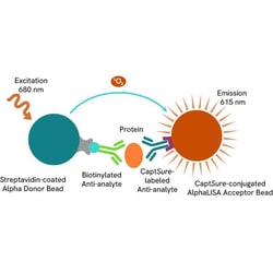 Revvity Health Sciences Inc AlphaLISA SureFire Ultra Human -Synuclein Detection