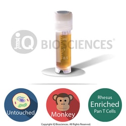 iQ Biosciences&nbsp;Purified Rhesus Monkey CD3 Pan T Cells, 10M cells/vial