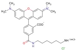 eMolecules​ TAMRA amine, 5-isomer | Broadpharm | 2158336-48-0 | | 565.110