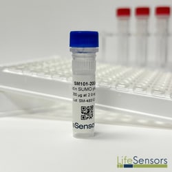 LifeSensors&nbsp;Biotin SUMO protein capture reagent 200µg