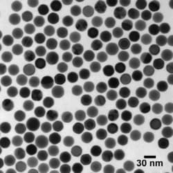 Nanocomposix Ultra Uniform Gold Nanospheres - PEG-Carboxyl - 30 nm, 0.05 mg/mL in aq. 2 mM sodium citrate, 5 mL
