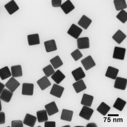 Nanocomposix NanoXact Silver Nanocubes - PVP - 75 nm, 1 mg/mL in ethanol, 5 mL