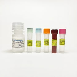 TRIBIOSCIENCE INC Glutamate Dehydrogenase (GDH) Colorimetric Assay 100