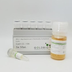 Gold Biotechnology Inc AGL1 Agrobacterium Chemically Competent Cells 5x50µL,