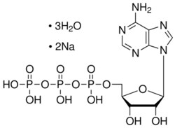 Gold Biotechnology Inc&nbsp;Adenosine-5'-Triphosphate (ATP), Disodium trihydrate, Ultra Pure 5 g