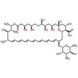 Gold Biotechnology Inc&nbsp;Amphotericin B, USP Grade 250 mg