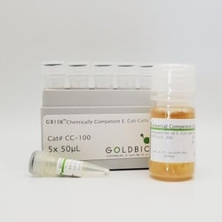 Gold Biotechnology Inc GB10B Chemically Competent E. coli Cells 5x100 μl