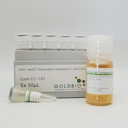 Gold Biotechnology Inc GB5-alpha Chemically Competent E. coli Cells 5x50 μl