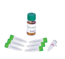 Gold Biotechnology Inc&nbsp;BL21 (DE3) Chemically Competent E. coli Cells 5x50 μl