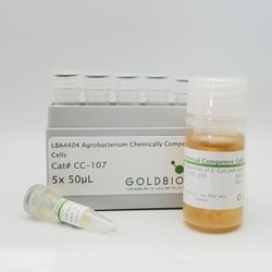 Gold Biotechnology Inc&nbsp;LBA4404 Chemically Competent Agrobacterium 5x50µL