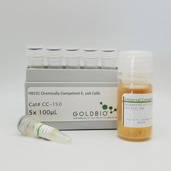 Gold Biotechnology Inc HB101 Chemically Competent E. coli Cells 5x50 μl