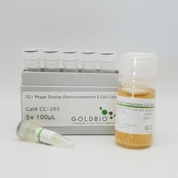 Gold Biotechnology Inc TG1 Phage Display Electrocompetent Cells 5x100 μl