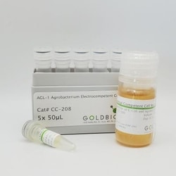 Gold Biotechnology Inc&nbsp;AGL-1 Agrobacterium Electrocompetent Cells 5x50µl