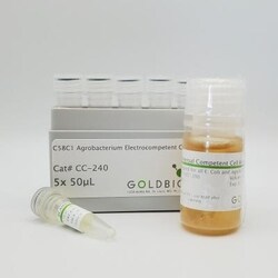 Gold Biotechnology Inc&nbsp;C58C1 ElectroCompetent Agrobacterium 5x50µl
